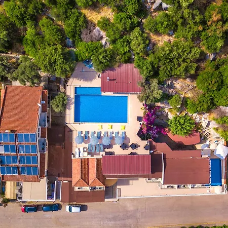 Leslion Turunc 말마리스